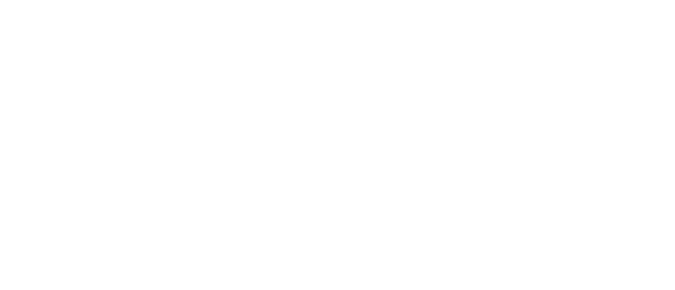 Allpanelexch version 1 Logo