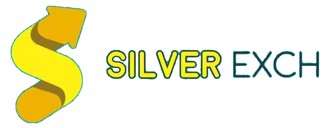 Silverbhai version 3 Logo