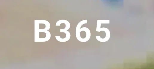 BSF365 Logo