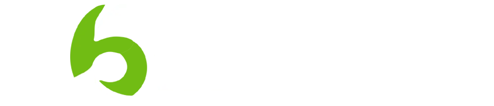 6WICKET777 Logo